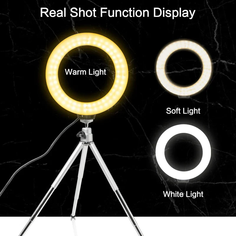 Vibrant Studio Light Kit