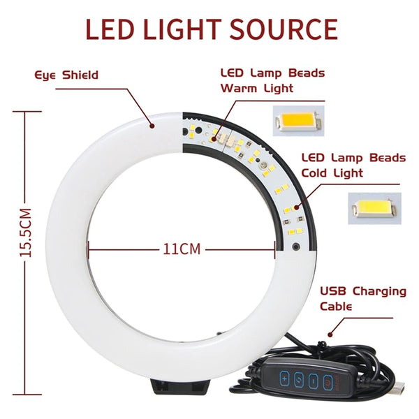 Vibrant Studio Light Kit