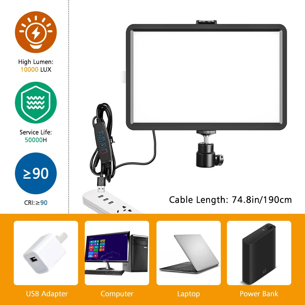 Vibrant Studio Light Kit